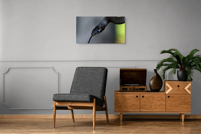 Tablou Canvas, "Șarpele elegant în umbra pădurii", Șarpe, Solzi, Negru, Ochi, Limbă, Natură, Reptilă, Detaliu, 90 x 50 cm – poza 6