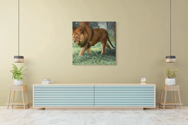 Tablou Canvas, "Regele savanei în plimbare solemnă", Leu, Majestuos, Puternic, Impozant, Natură, Verdeață, Strălucire, Regăsire, 100 x 100 cm – poza 5