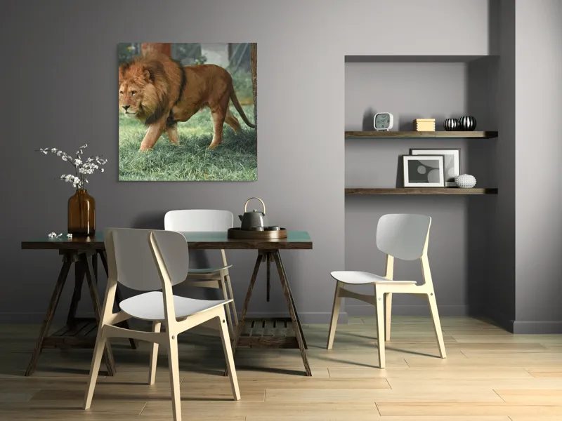 Tablou Canvas, "Regele savanei în plimbare solemnă", Leu, Majestuos, Puternic, Impozant, Natură, Verdeață, Strălucire, Regăsire, 100 x 100 cm – poza 6