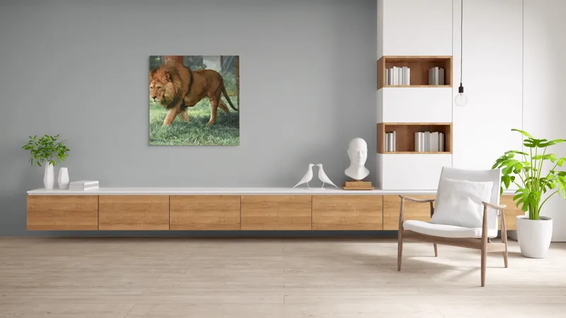 Tablou Canvas, "Regele savanei în plimbare solemnă", Leu, Majestuos, Puternic, Impozant, Natură, Verdeață, Strălucire, Regăsire, 100 x 100 cm – poza 8