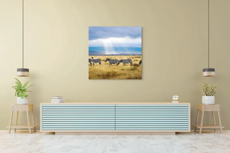 Tablou Canvas, "Zebre sub razele soarelui africane", Zebre, Câmpie, Nori, Lumină, Peisaj, Natură, Serenitate, Dungi, Cer, Sălbăticie, 100 x 100 cm – poza 5