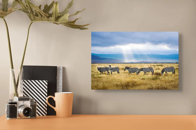 Tablou Canvas, "Zebre sub razele soarelui africane", Zebre, Câmpie, Nori, Lumină, Peisaj, Natură, Serenitate, Dungi, Cer, Sălbăticie, 39 x 26 cm – poza 3