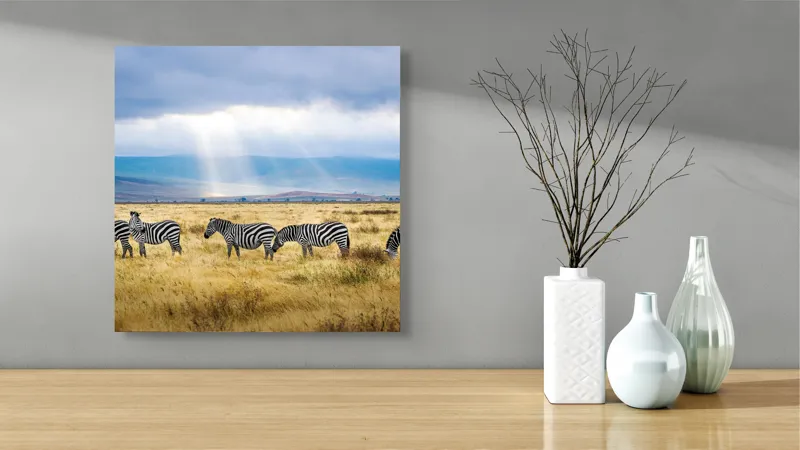 Tablou Canvas, "Zebre sub razele soarelui africane", Zebre, Câmpie, Nori, Lumină, Peisaj, Natură, Serenitate, Dungi, Cer, Sălbăticie, 50 x 50 cm – poza 3
