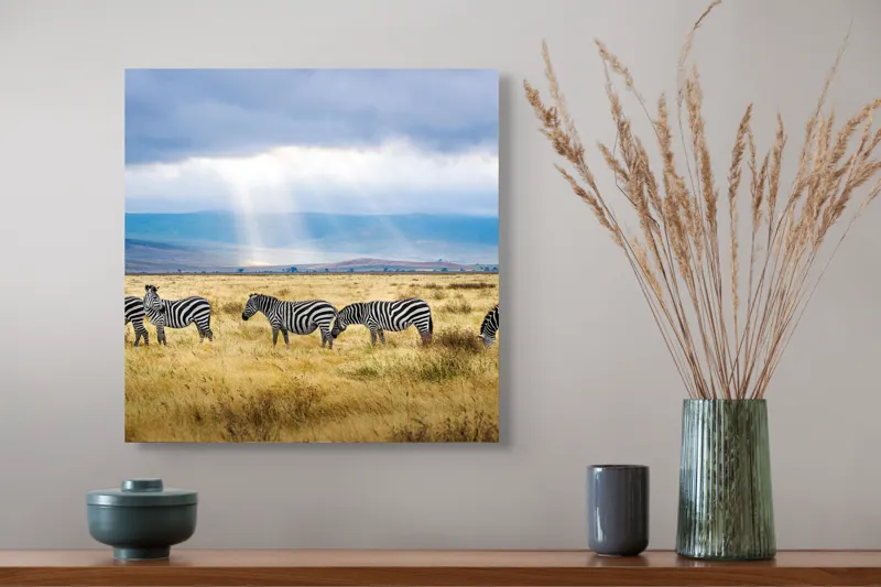 Tablou Canvas, "Zebre sub razele soarelui africane", Zebre, Câmpie, Nori, Lumină, Peisaj, Natură, Serenitate, Dungi, Cer, Sălbăticie, 50 x 50 cm – poza 4