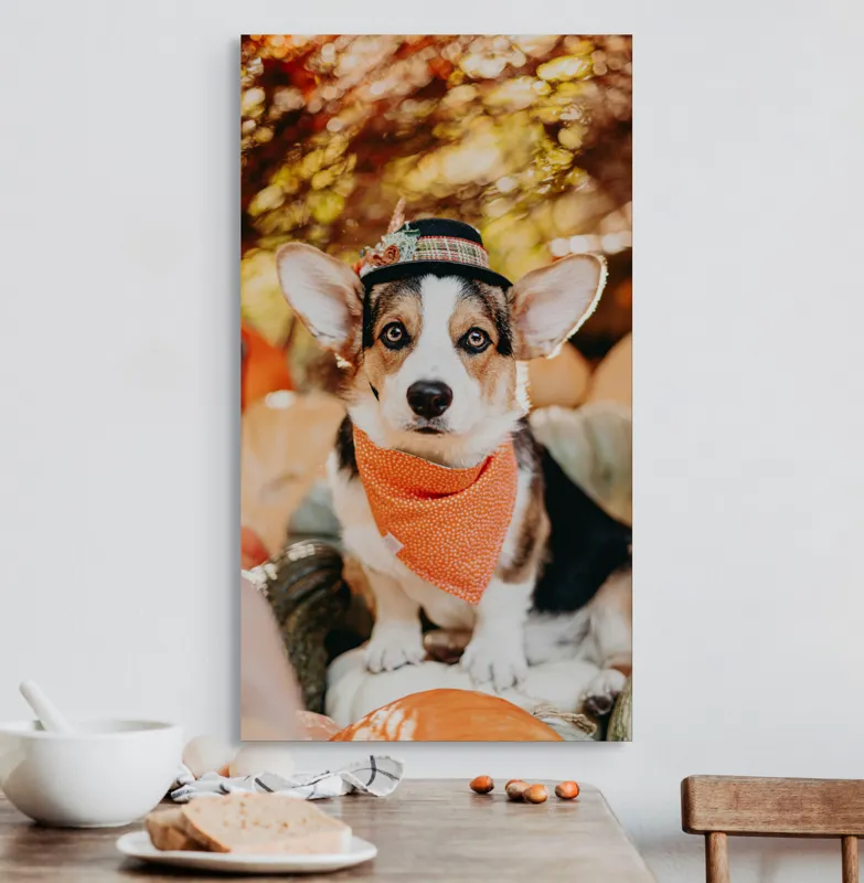 Tablou Canvas, "Câinele elegant în ținuta de toamnă", Câine, Corgi, Pălărie, Eșarfă, Portocaliu, Lumini, Dovleci, Frunze, Toamnă, Sclipire, Privire, Natură, 50 x 90 cm – poza 3