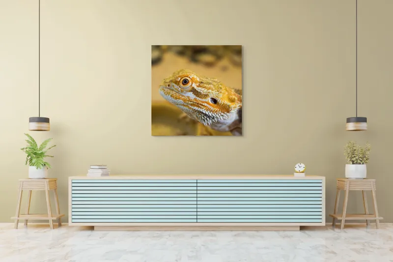 Tablou Canvas, "Dragon de nisip în deșertul arid", 100 x 100 cm – poza 5