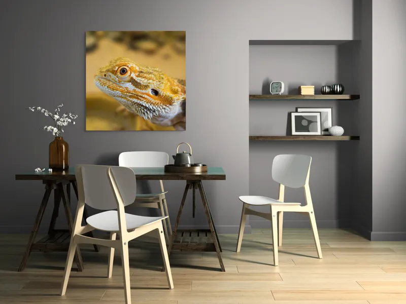 Tablou Canvas, "Dragon de nisip în deșertul arid", 100 x 100 cm – poza 6