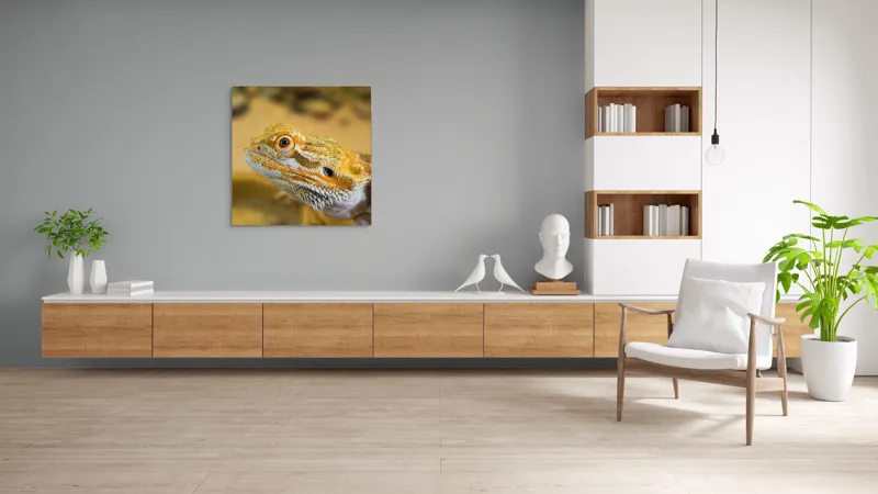 Tablou Canvas, "Dragon de nisip în deșertul arid", 100 x 100 cm – poza 8