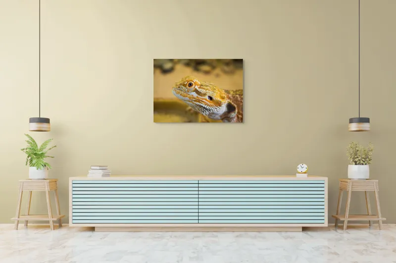 Tablou Canvas, "Dragon de nisip în deșertul arid", 100 x 70 cm – poza 4