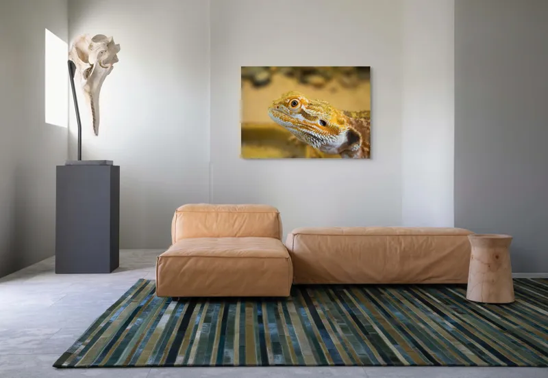 Tablou Canvas, "Dragon de nisip în deșertul arid", 100 x 70 cm – poza 7
