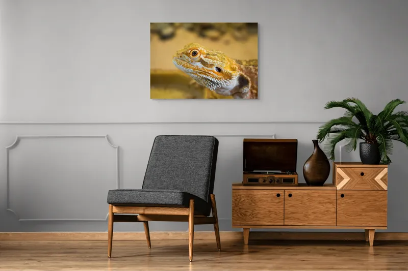Tablou Canvas, "Dragon de nisip în deșertul arid", 100 x 70 cm – poza 8