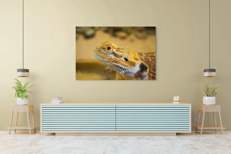 Tablou Canvas, "Dragon de nisip în deșertul arid", 150 x 100 cm – poza 6