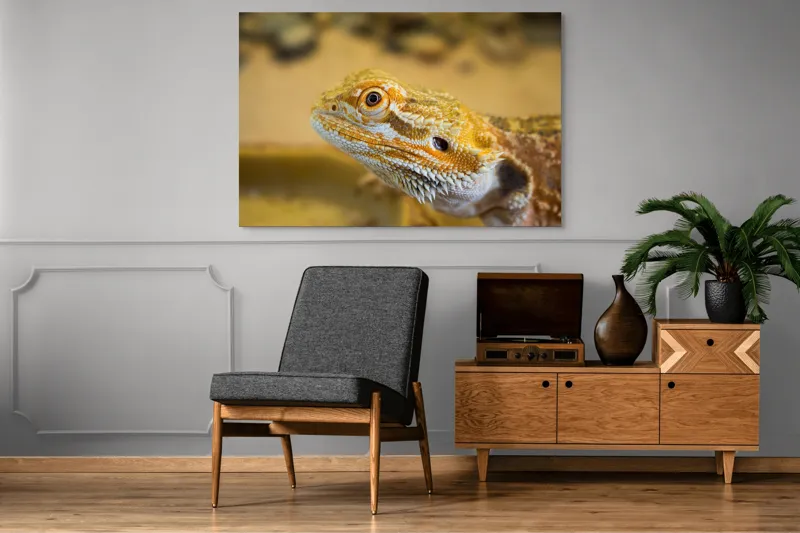 Tablou Canvas, "Dragon de nisip în deșertul arid", 150 x 100 cm – poza 8