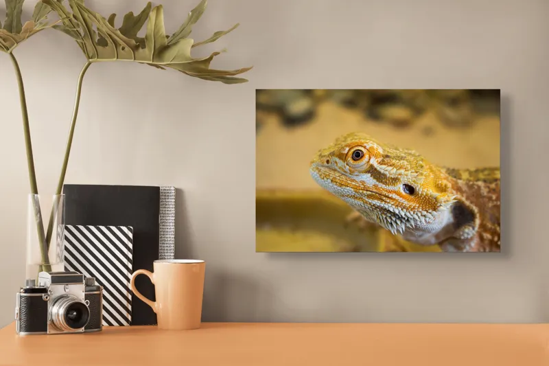 Tablou Canvas, "Dragon de nisip în deșertul arid", 39 x 26 cm – poza 3