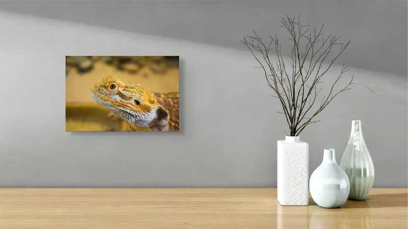 Tablou Canvas, "Dragon de nisip în deșertul arid", 39 x 26 cm – poza 8