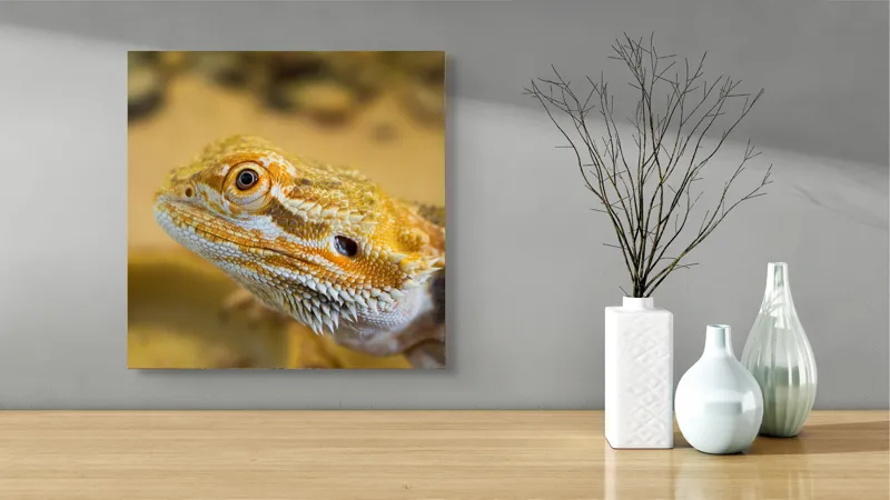 Tablou Canvas, "Dragon de nisip în deșertul arid", 50 x 50 cm – poza 3