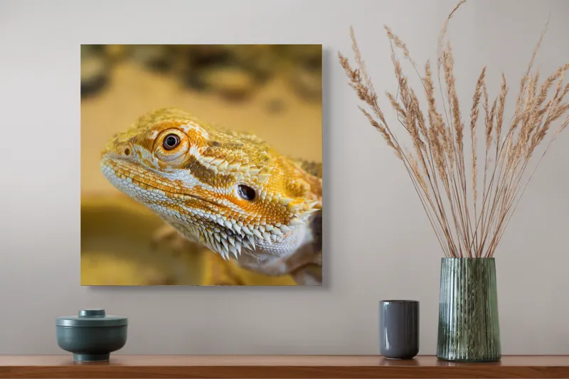 Tablou Canvas, "Dragon de nisip în deșertul arid", 50 x 50 cm – poza 4