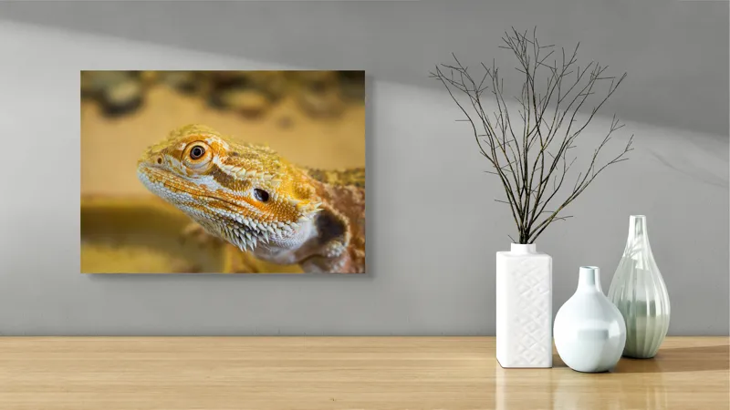 Tablou Canvas, "Dragon de nisip în deșertul arid", 54 x 39 cm – poza 3