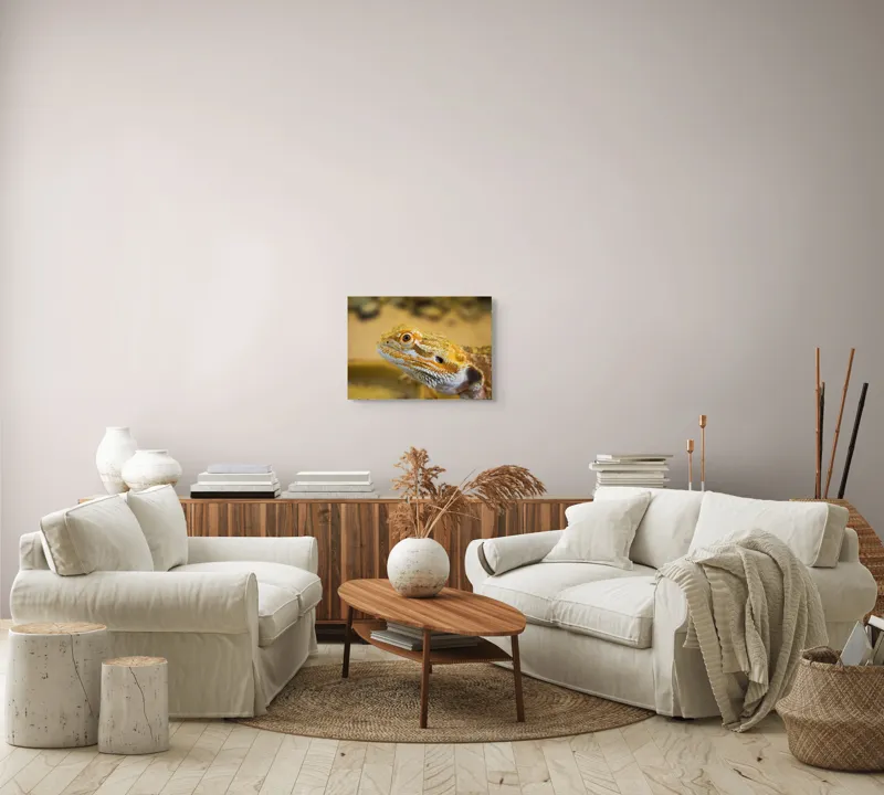 Tablou Canvas, "Dragon de nisip în deșertul arid", 54 x 39 cm – poza 5