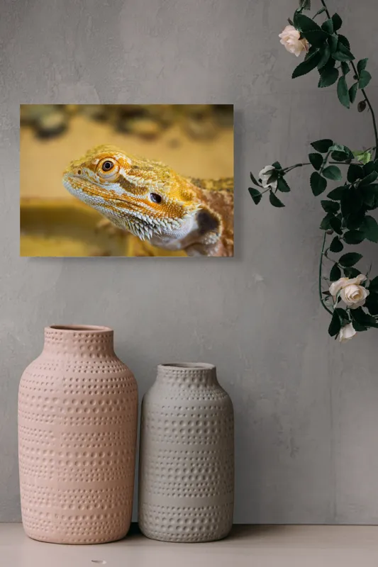 Tablou Canvas, "Dragon de nisip în deșertul arid", 54 x 39 cm – poza 8