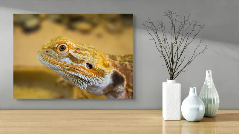 Tablou Canvas, "Dragon de nisip în deșertul arid", 70 x 50 cm – poza 3