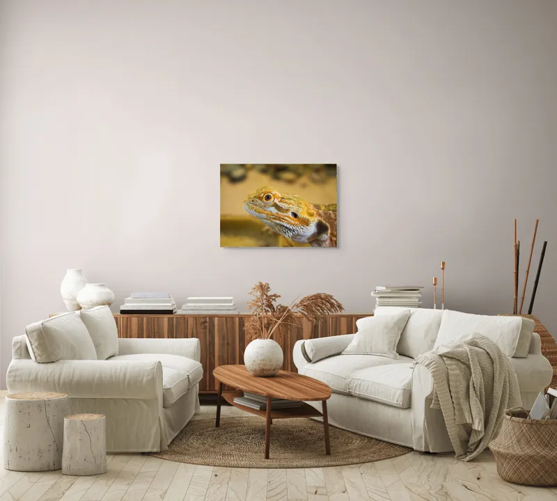 Tablou Canvas, "Dragon de nisip în deșertul arid", 70 x 50 cm – poza 6