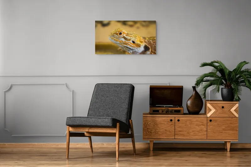Tablou Canvas, "Dragon de nisip în deșertul arid", 90 x 50 cm – poza 6