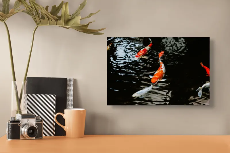 Tablou Canvas, "Koi fermecători înotând în iaz", Pești, Apă, Koi, Reflectie, Armonie, Natură, Mișcare, Culori, Serenitate, Grandoare, 39 x 26 cm – poza 3