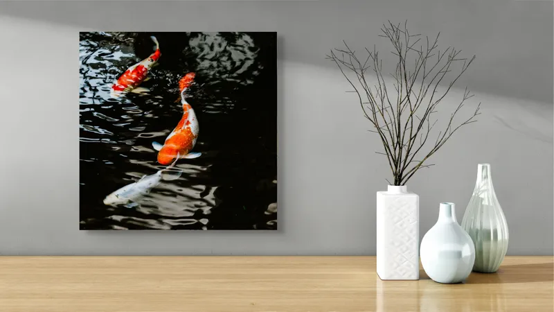Tablou Canvas, "Koi fermecători înotând în iaz", Pești, Apă, Koi, Reflectie, Armonie, Natură, Mișcare, Culori, Serenitate, Grandoare, 50 x 50 cm – poza 3