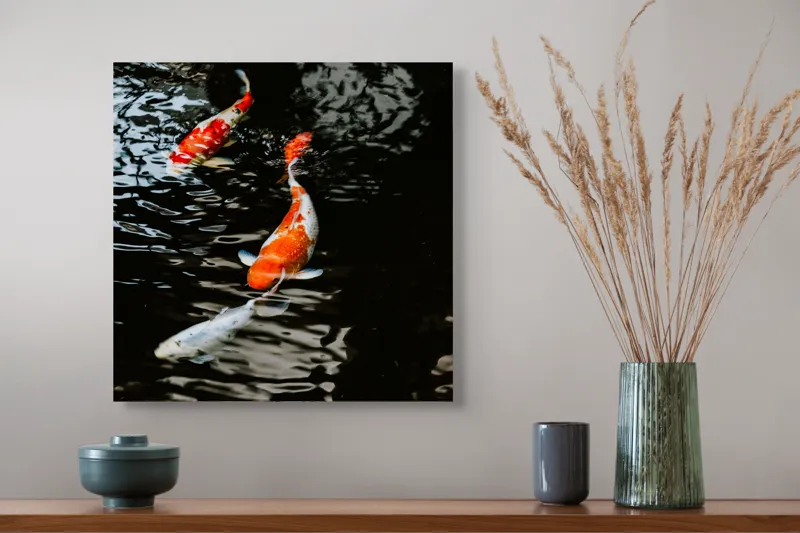 Tablou Canvas, "Koi fermecători înotând în iaz", Pești, Apă, Koi, Reflectie, Armonie, Natură, Mișcare, Culori, Serenitate, Grandoare, 50 x 50 cm – poza 4