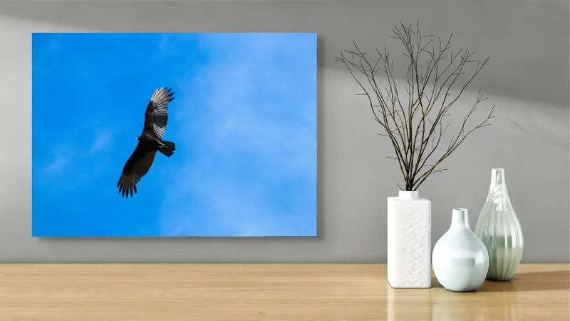 Tablou Canvas, "Zbor deasupra albastrului infinit", Pasăre, Cer, Zbor, Aripi, Vultur, Albastru, Libertate, Înaltime, Strașnic, Natură, 70 x 50 cm – poza 3