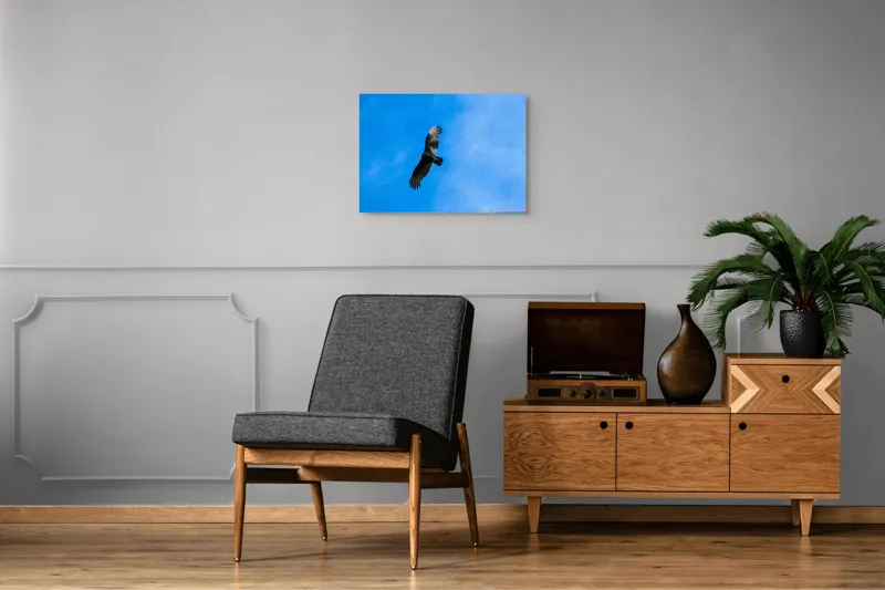 Tablou Canvas, "Zbor deasupra albastrului infinit", Pasăre, Cer, Zbor, Aripi, Vultur, Albastru, Libertate, Înaltime, Strașnic, Natură, 70 x 50 cm – poza 4