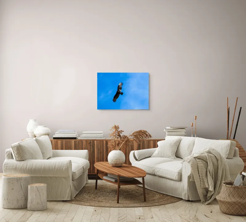 Tablou Canvas, "Zbor deasupra albastrului infinit", Pasăre, Cer, Zbor, Aripi, Vultur, Albastru, Libertate, Înaltime, Strașnic, Natură, 70 x 50 cm – poza 6