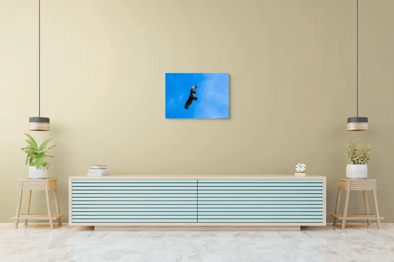 Tablou Canvas, "Zbor deasupra albastrului infinit", Pasăre, Cer, Zbor, Aripi, Vultur, Albastru, Libertate, Înaltime, Strașnic, Natură, 70 x 50 cm – poza 7