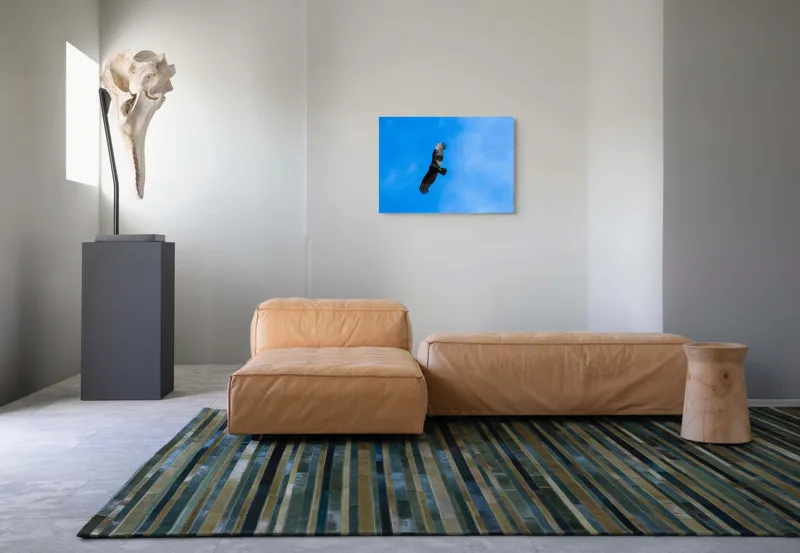 Tablou Canvas, "Zbor deasupra albastrului infinit", Pasăre, Cer, Zbor, Aripi, Vultur, Albastru, Libertate, Înaltime, Strașnic, Natură, 70 x 50 cm – poza 8