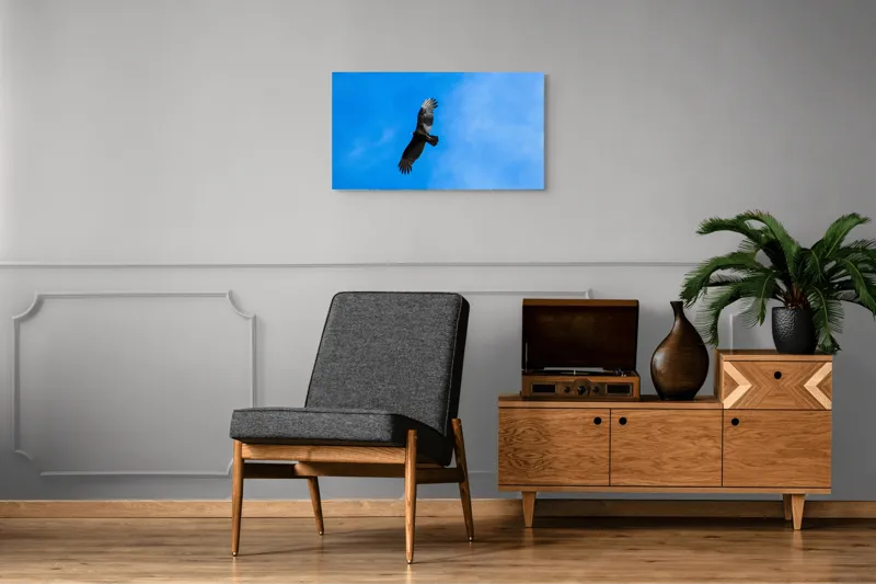 Tablou Canvas, "Zbor deasupra albastrului infinit", Pasăre, Cer, Zbor, Aripi, Vultur, Albastru, Libertate, Înaltime, Strașnic, Natură, 90 x 50 cm – poza 6