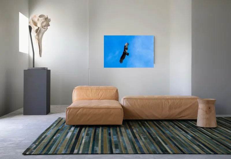 Tablou Canvas, "Zbor deasupra albastrului infinit", Pasăre, Cer, Zbor, Aripi, Vultur, Albastru, Libertate, Înaltime, Strașnic, Natură, 90 x 50 cm – poza 8