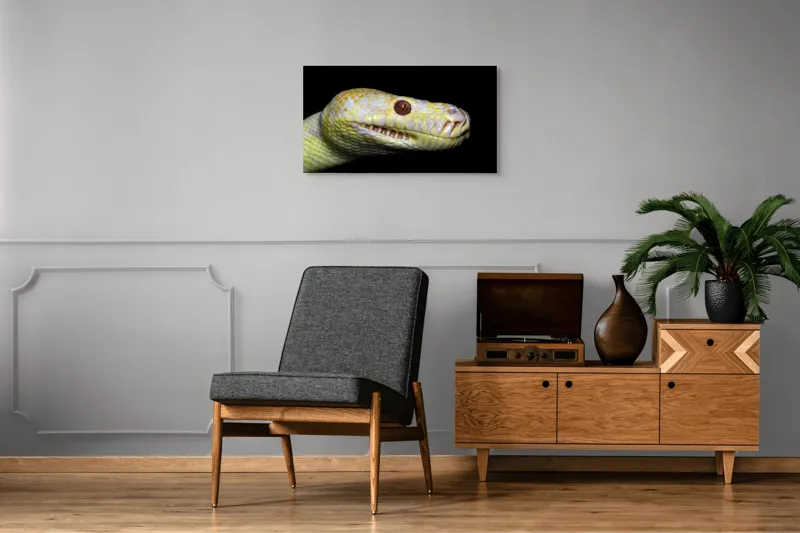 Tablou Canvas, "Șarpele în strălucirea nopții negre", Șarpe, Solzi, Galben, Ochi, Prădător, Noapte, Textură, Detalii, Natură, 90 x 50 cm – poza 6