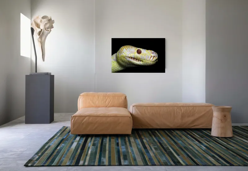 Tablou Canvas, "Șarpele în strălucirea nopții negre", Șarpe, Solzi, Galben, Ochi, Prădător, Noapte, Textură, Detalii, Natură, 90 x 50 cm – poza 8