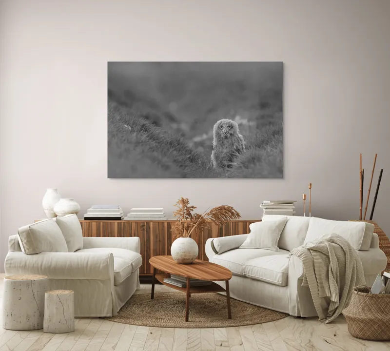 Tablou Canvas, "Puiul de bufniță în ceață misterioasă", Pui, Bufniță, Plante, Blană, Peisaj, Culoare, Frunze, Vegetație, Privire, Curiozitate, 150 x 100 cm – poza 3