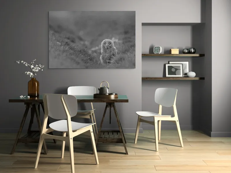 Tablou Canvas, "Puiul de bufniță în ceață misterioasă", Pui, Bufniță, Plante, Blană, Peisaj, Culoare, Frunze, Vegetație, Privire, Curiozitate, 150 x 100 cm – poza 5