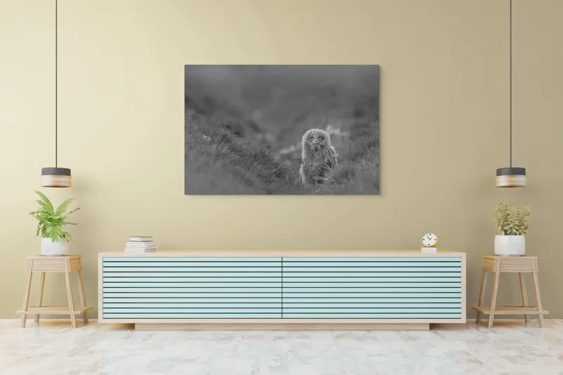 Tablou Canvas, "Puiul de bufniță în ceață misterioasă", Pui, Bufniță, Plante, Blană, Peisaj, Culoare, Frunze, Vegetație, Privire, Curiozitate, 150 x 100 cm – poza 6
