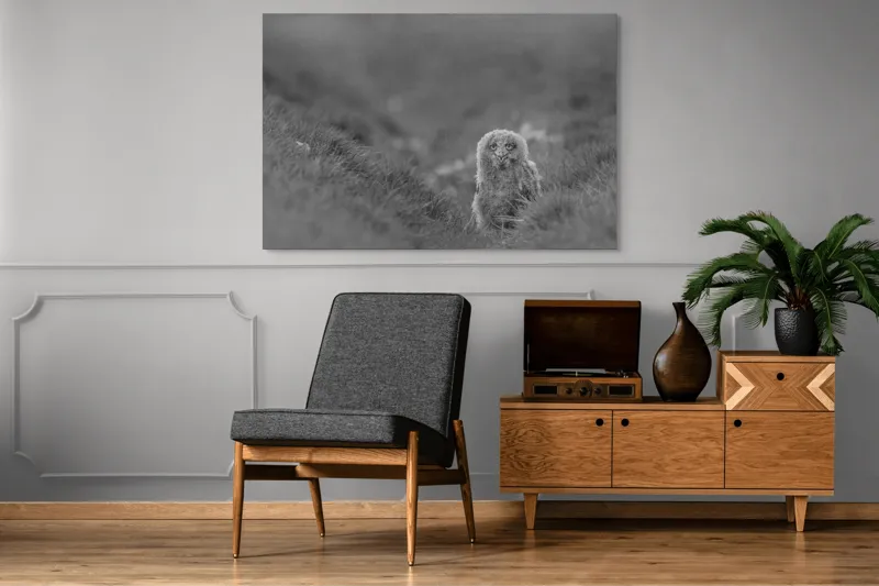 Tablou Canvas, "Puiul de bufniță în ceață misterioasă", Pui, Bufniță, Plante, Blană, Peisaj, Culoare, Frunze, Vegetație, Privire, Curiozitate, 150 x 100 cm – poza 8