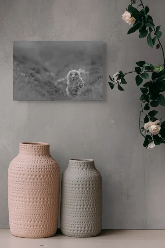Tablou Canvas, "Puiul de bufniță în ceață misterioasă", Pui, Bufniță, Plante, Blană, Peisaj, Culoare, Frunze, Vegetație, Privire, Curiozitate, 39 x 26 cm – poza 4