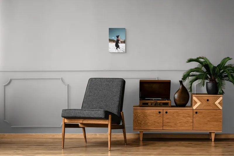 Tablou Canvas, "Câinele zburdalnic în zăpadă albă", Câine, Zăpadă, Săritură, Cer, Pădure, Iarnă, Energie, Bucurie, Joacă, Natură, 26 x 39 cm – poza 8