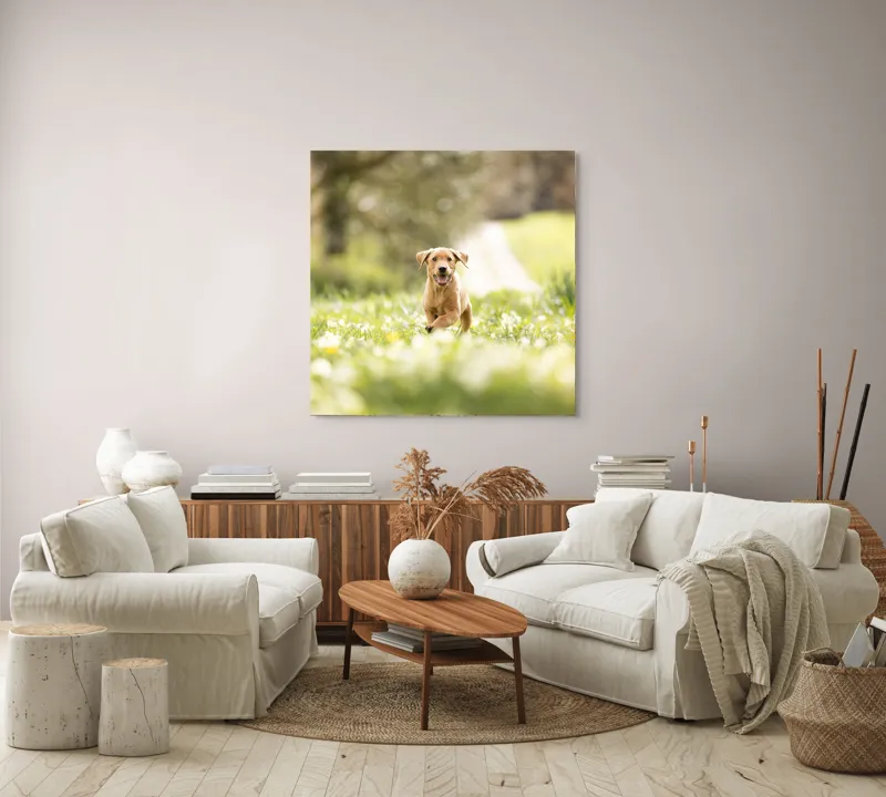 Tablou Canvas, "Cățel vesel în câmpul înverzit", Câine, Alergare, Iarbă, Flori, Primăvară, Bucurie, Natură, Lumină, Energie, Fericire, 100 x 100 cm – poza 3