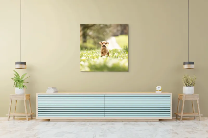 Tablou Canvas, "Cățel vesel în câmpul înverzit", Câine, Alergare, Iarbă, Flori, Primăvară, Bucurie, Natură, Lumină, Energie, Fericire, 100 x 100 cm – poza 5