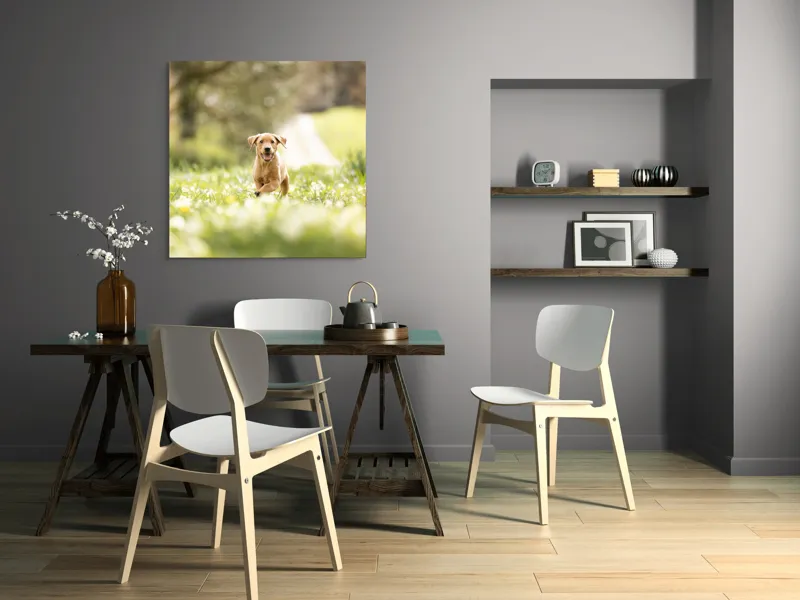 Tablou Canvas, "Cățel vesel în câmpul înverzit", Câine, Alergare, Iarbă, Flori, Primăvară, Bucurie, Natură, Lumină, Energie, Fericire, 100 x 100 cm – poza 6