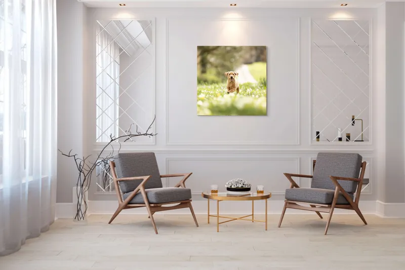 Tablou Canvas, "Cățel vesel în câmpul înverzit", Câine, Alergare, Iarbă, Flori, Primăvară, Bucurie, Natură, Lumină, Energie, Fericire, 100 x 100 cm – poza 7