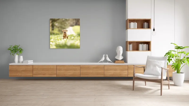Tablou Canvas, "Cățel vesel în câmpul înverzit", Câine, Alergare, Iarbă, Flori, Primăvară, Bucurie, Natură, Lumină, Energie, Fericire, 100 x 100 cm – poza 8